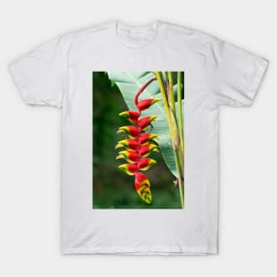 rbs hanging lobster claw T-Shirt